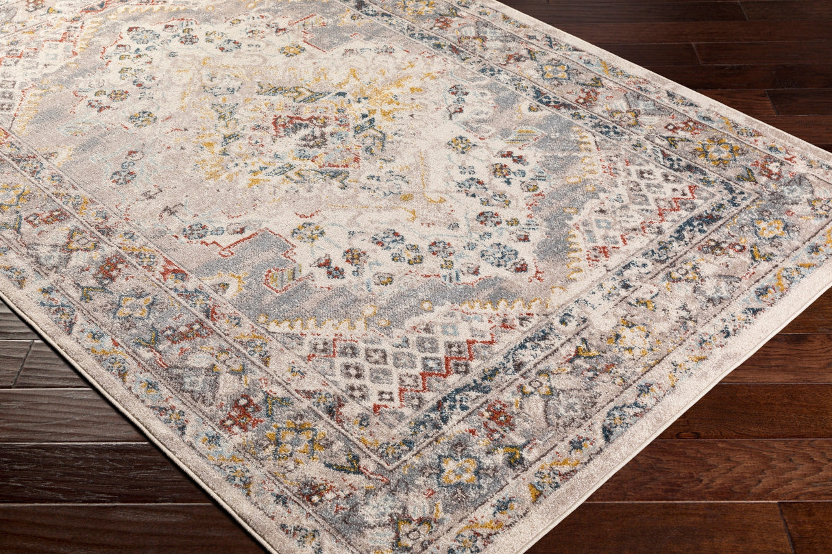 Surya Ankara Akr-2301 Taupe, Medium Gray, Charcoal, Cream Rugs.