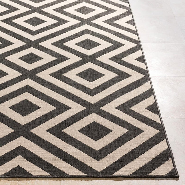 Surya Alfresco Alf-9639 Black / Beige Rugs.