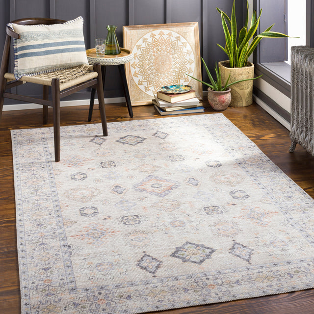 Surya Alanya Aly-2302 Burnt Orange, Dark Blue, Denim, Grass Green Rugs.