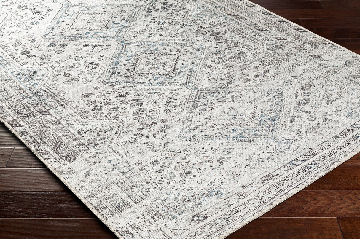Surya Machine Washable Amelie Aml-2380 Beige Rug.