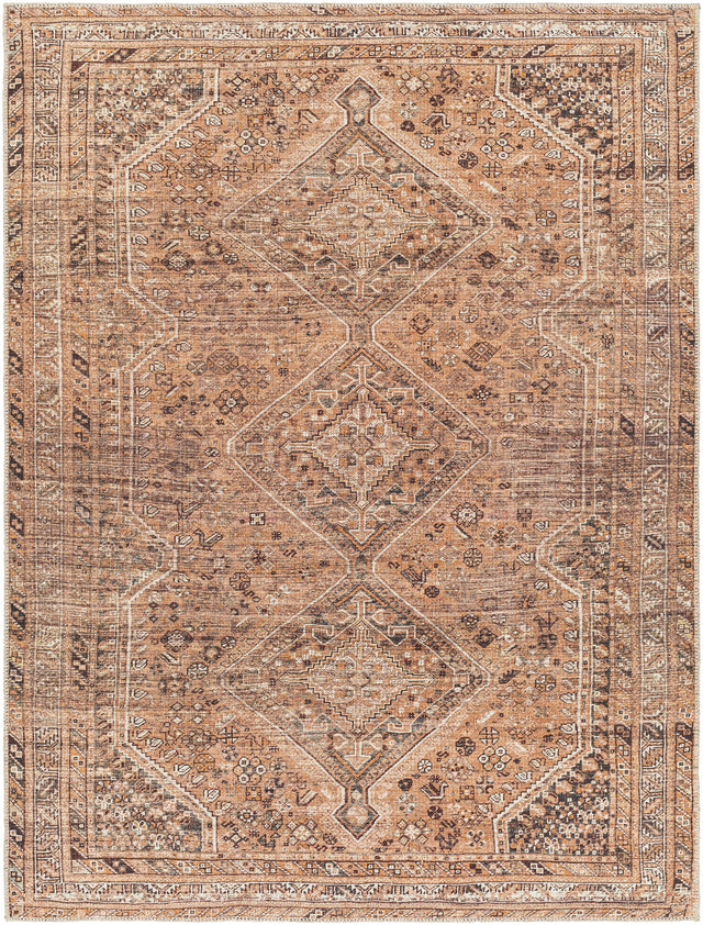 Surya Machine Washable Amelie Aml-2384 Orange Rug.