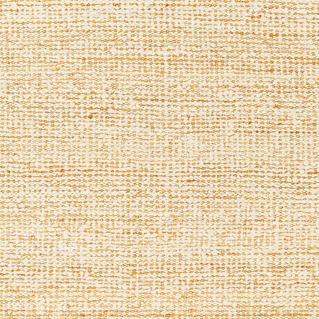 Surya Aylin Ayi-2300 Beige Rug.