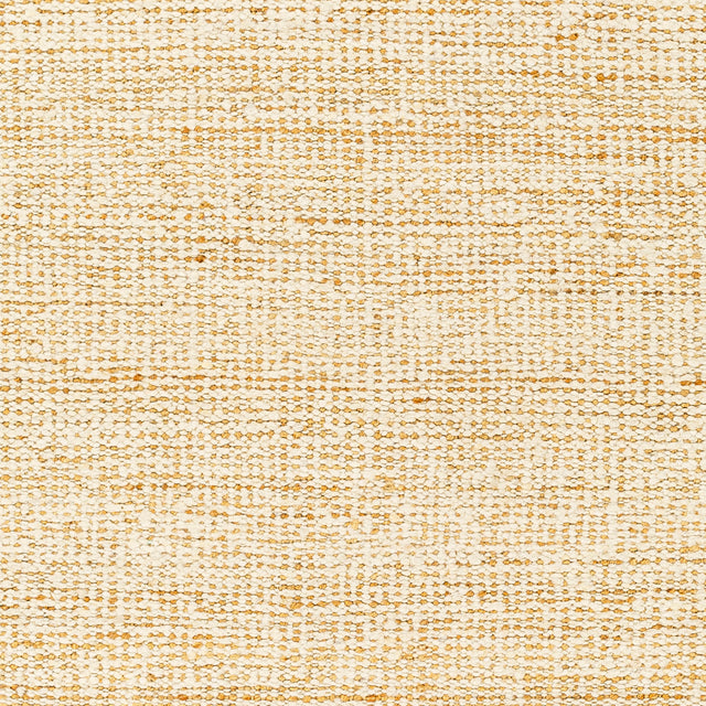 Surya Aylin Ayi-2300 Beige Rug.