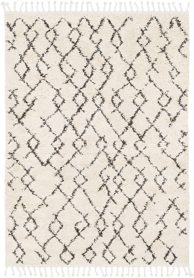 Surya Berber Shag Bbe-2301 Charcoal, Beige Rugs.