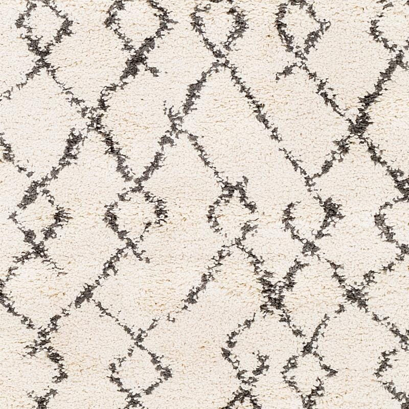 Surya Berber Shag Bbe-2301 Charcoal, Beige Rugs.