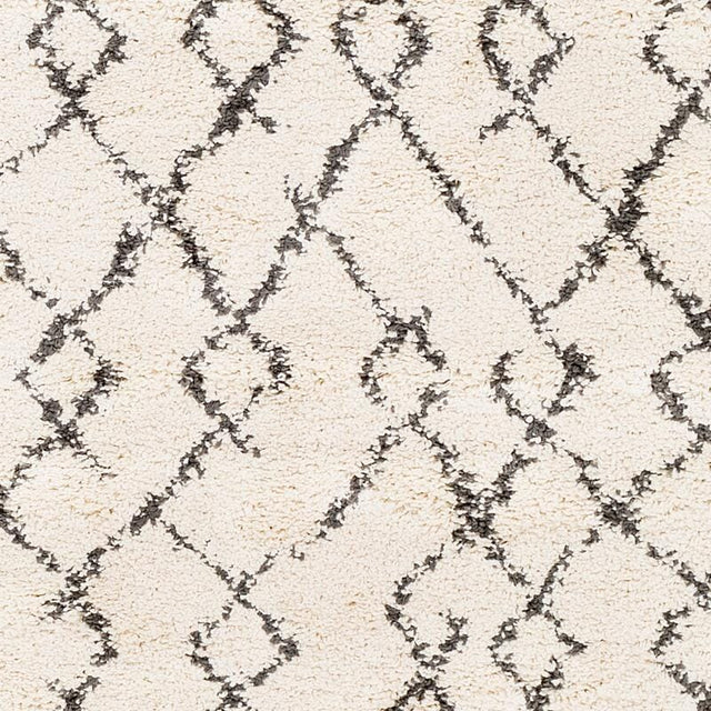 Surya Berber Shag Bbe-2301 Charcoal, Beige Rugs.