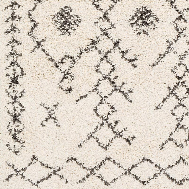 Surya Berber Shag Bbe-2302 Charcoal, Beige Rugs.