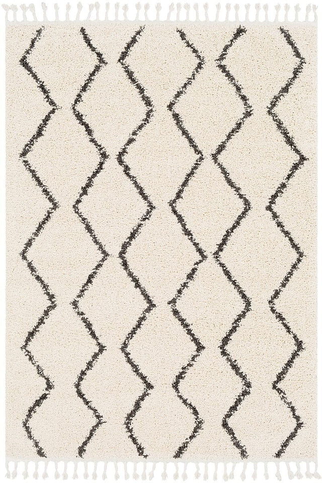 Surya Berber Shag Bbe-2303 Charcoal, Beige Rugs.
