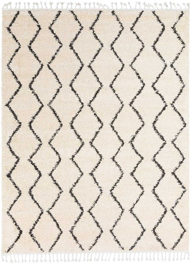 Surya Berber Shag Bbe-2303 Charcoal, Beige Rugs.