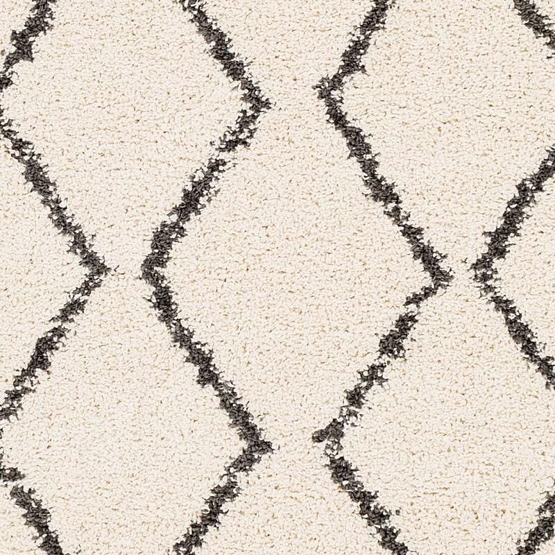 Surya Berber Shag Bbe-2303 Charcoal, Beige Rugs.