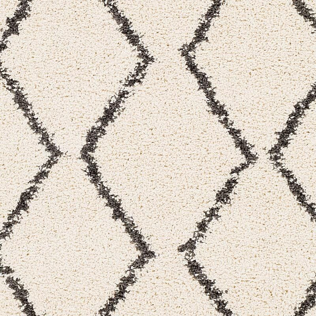 Surya Berber Shag Bbe-2303 Charcoal, Beige Rugs.