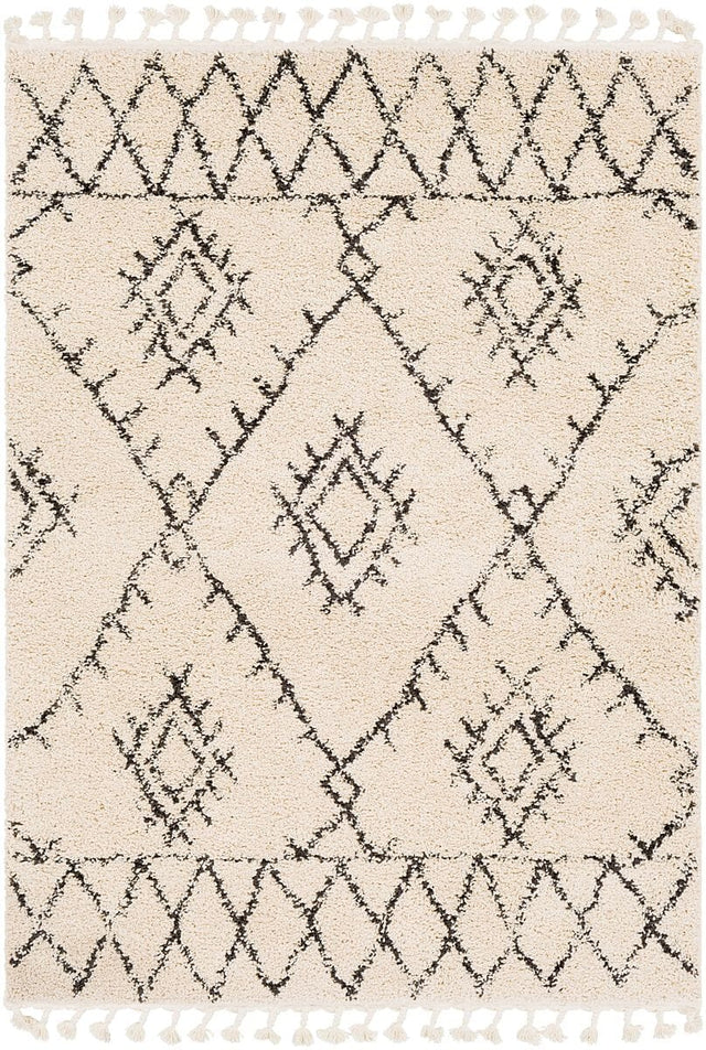 Surya Berber Shag Bbe-2305 Charcoal, Beige Rugs.