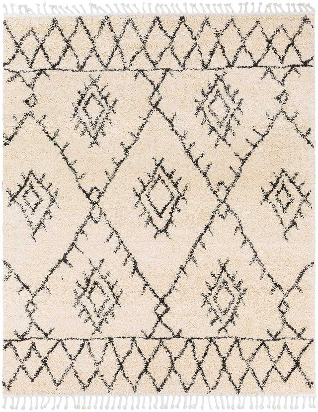 Surya Berber Shag Bbe-2305 Charcoal, Beige Rugs.