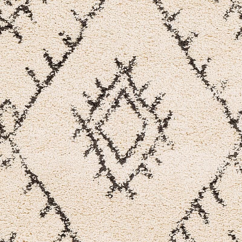 Surya Berber Shag Bbe-2305 Charcoal, Beige Rugs.