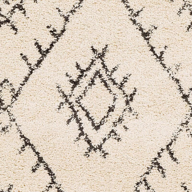Surya Berber Shag Bbe-2305 Charcoal, Beige Rugs.