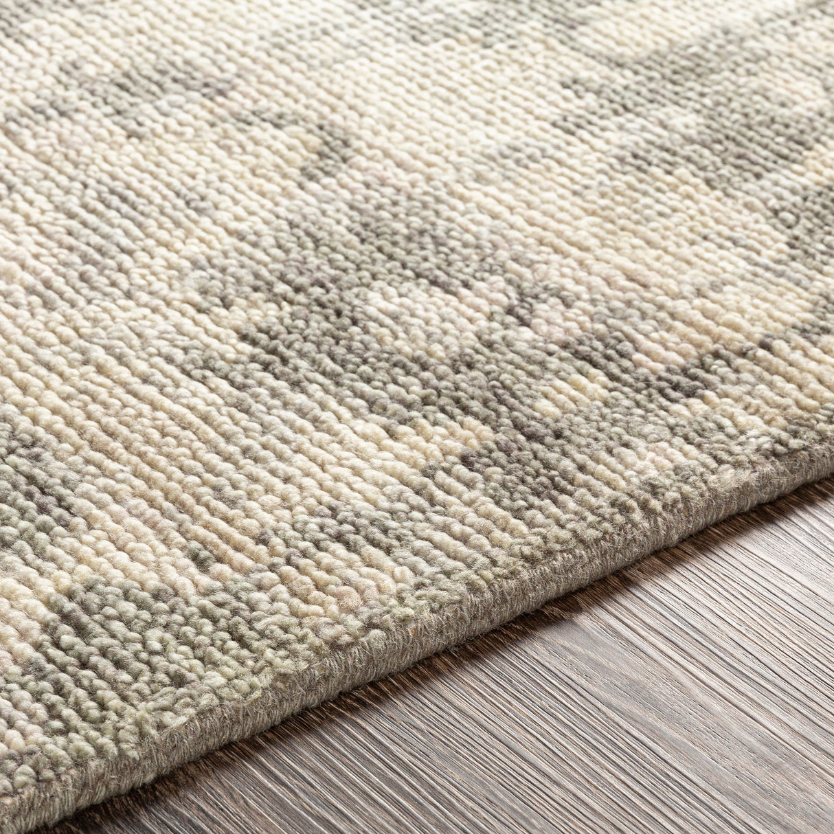 Surya Biscayne Bsy-2309 Sage, Ivory, Taupe, Medium Gray Rugs.