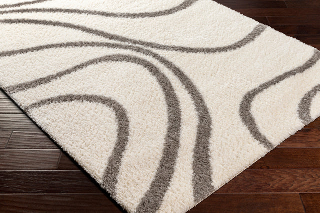 Surya Cloudy Shag Cdg-2300 Beige Rug.