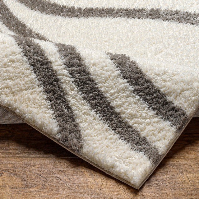 Surya Cloudy Shag Cdg-2300 Beige Rug.