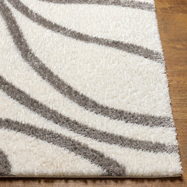 Surya Cloudy Shag Cdg-2300 Beige Rug.