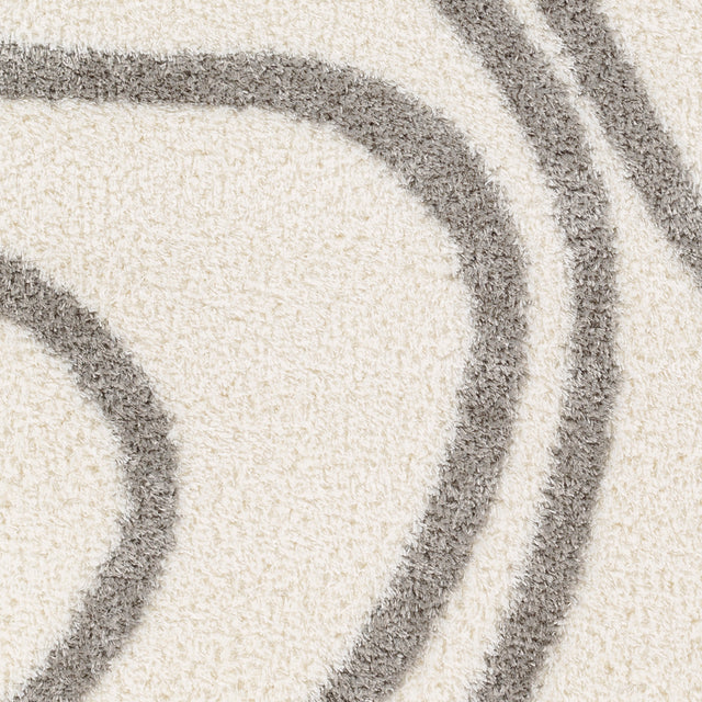 Surya Cloudy Shag Cdg-2300 Beige Rug.