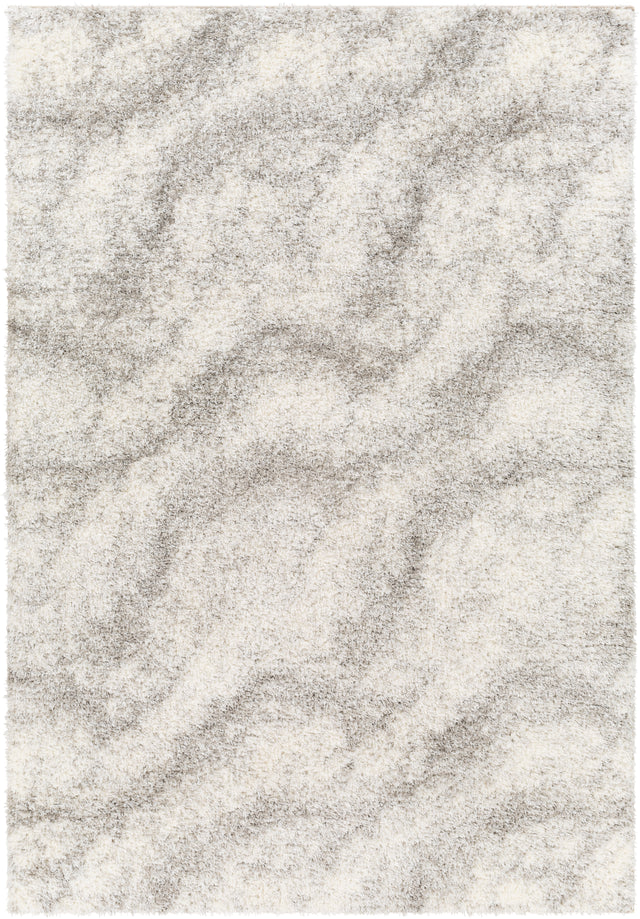 Surya Cloudy Shag Cdg-2306 Beige Rug.