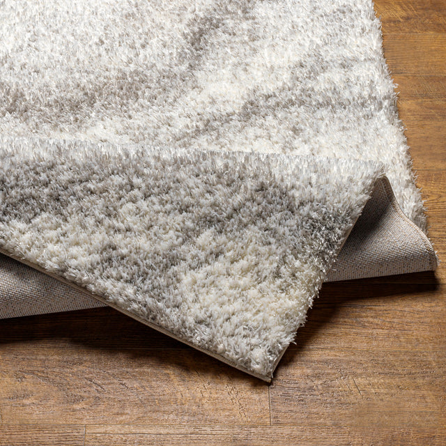 Surya Cloudy Shag Cdg-2306 Beige Rug.