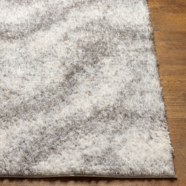 Surya Cloudy Shag Cdg-2306 Beige Rug.