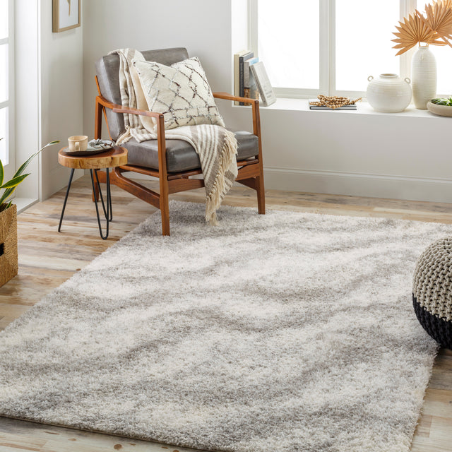 Surya Cloudy Shag Cdg-2306 Beige Rug.