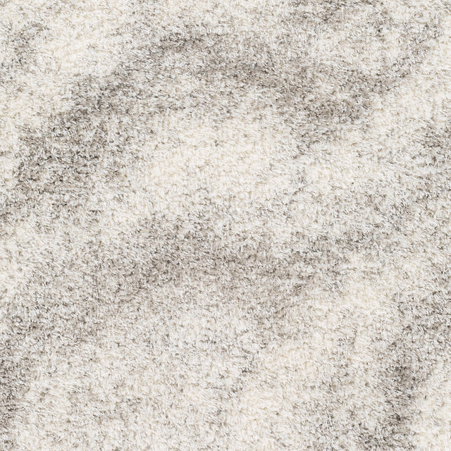 Surya Cloudy Shag Cdg-2306 Beige Rug.