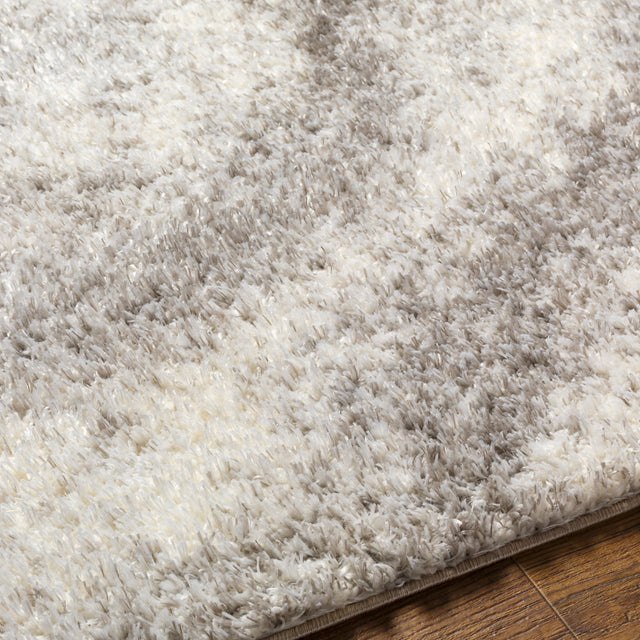 Surya Cloudy Shag Cdg-2306 Beige Rug.