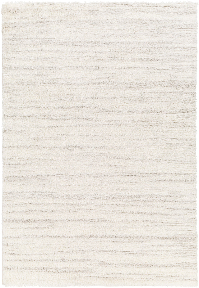Surya Cloudy Shag Cdg-2307 Beige Rug.