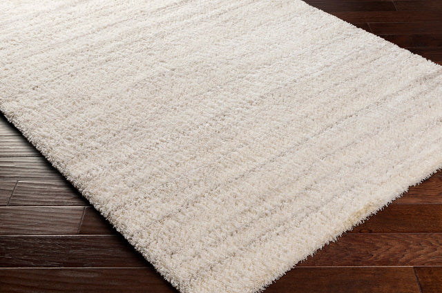 Surya Cloudy Shag Cdg-2307 Beige Rug.