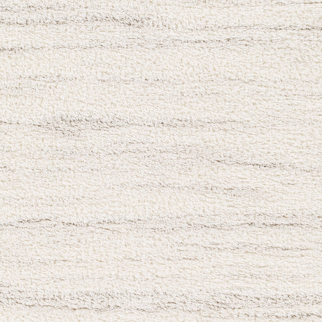 Surya Cloudy Shag Cdg-2307 Beige Rug.