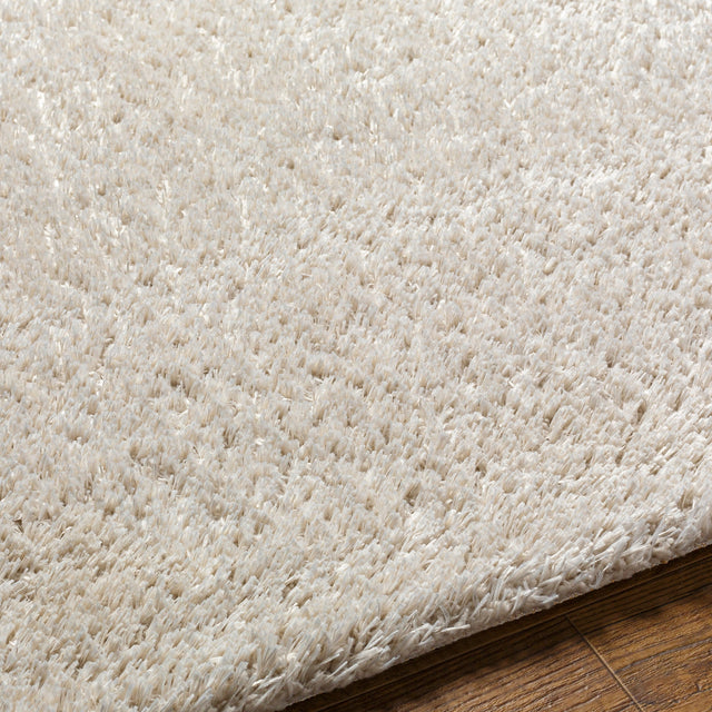 Surya Cloudy Shag Cdg-2307 Beige Rug.