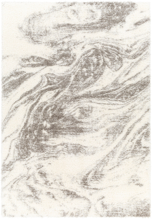 Surya Cloudy Shag Cdg-2308 Beige Rug.