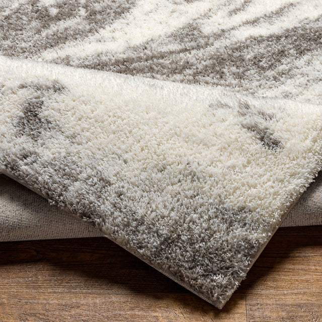 Surya Cloudy Shag Cdg-2308 Beige Rug.