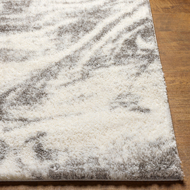 Surya Cloudy Shag Cdg-2308 Beige Rug.