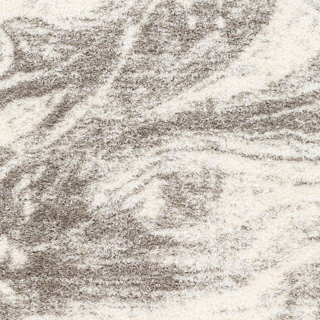 Surya Cloudy Shag Cdg-2308 Beige Rug.