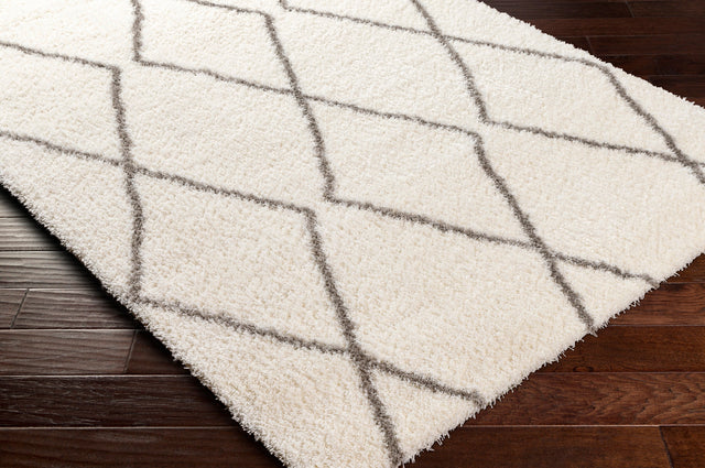 Surya Cloudy Shag Cdg-2317 Beige Rug.