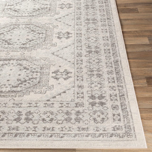 Surya Chester Che-2309 Light Gray, Medium Gray, Khaki Rugs.