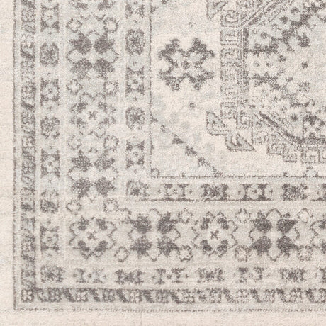 Surya Chester Che-2309 Light Gray, Medium Gray, Khaki Rugs.