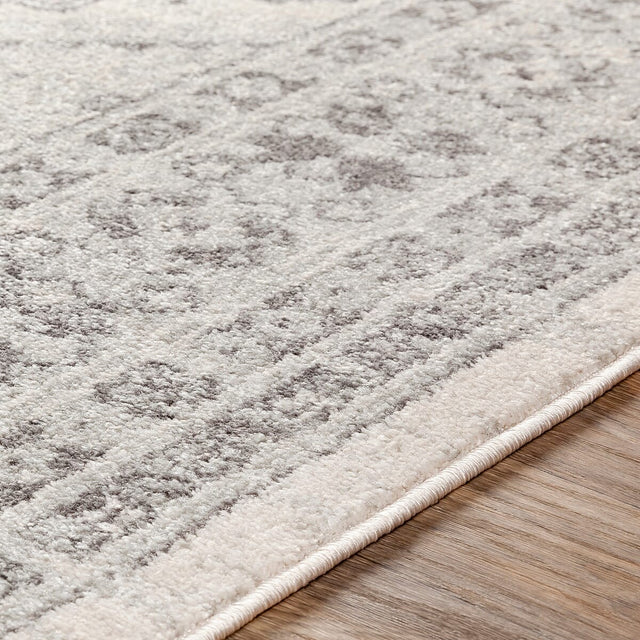 Surya Chester Che-2309 Light Gray, Medium Gray, Khaki Rugs.