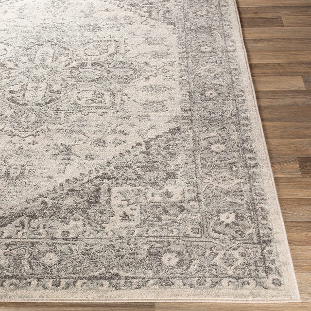 Surya Chester Che-2312 Light Gray, Medium Gray, Khaki Rugs.
