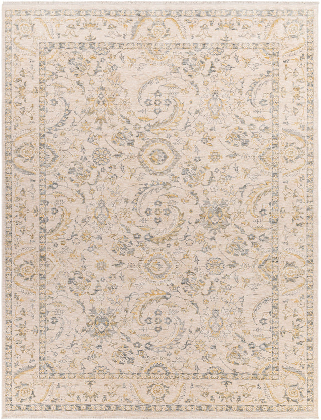 Surya Chicago Chg-2300 Beige Rug.