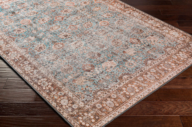 Surya Colin Cln-2310 Light Blue, Tan, Orange, Brown Rugs.