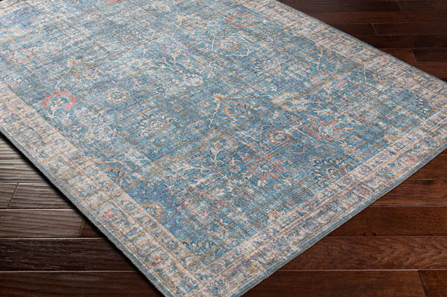 Surya Cobb Cob-2300 Light Blue, Blue, Rose, Oatmeal Rugs.