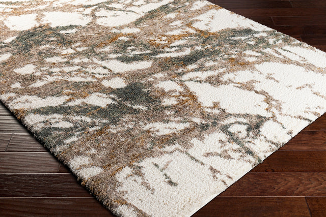 Surya Celestial Shag Csg-2303 Cream, Taupe, Medium Gray, Dark Green Rugs.