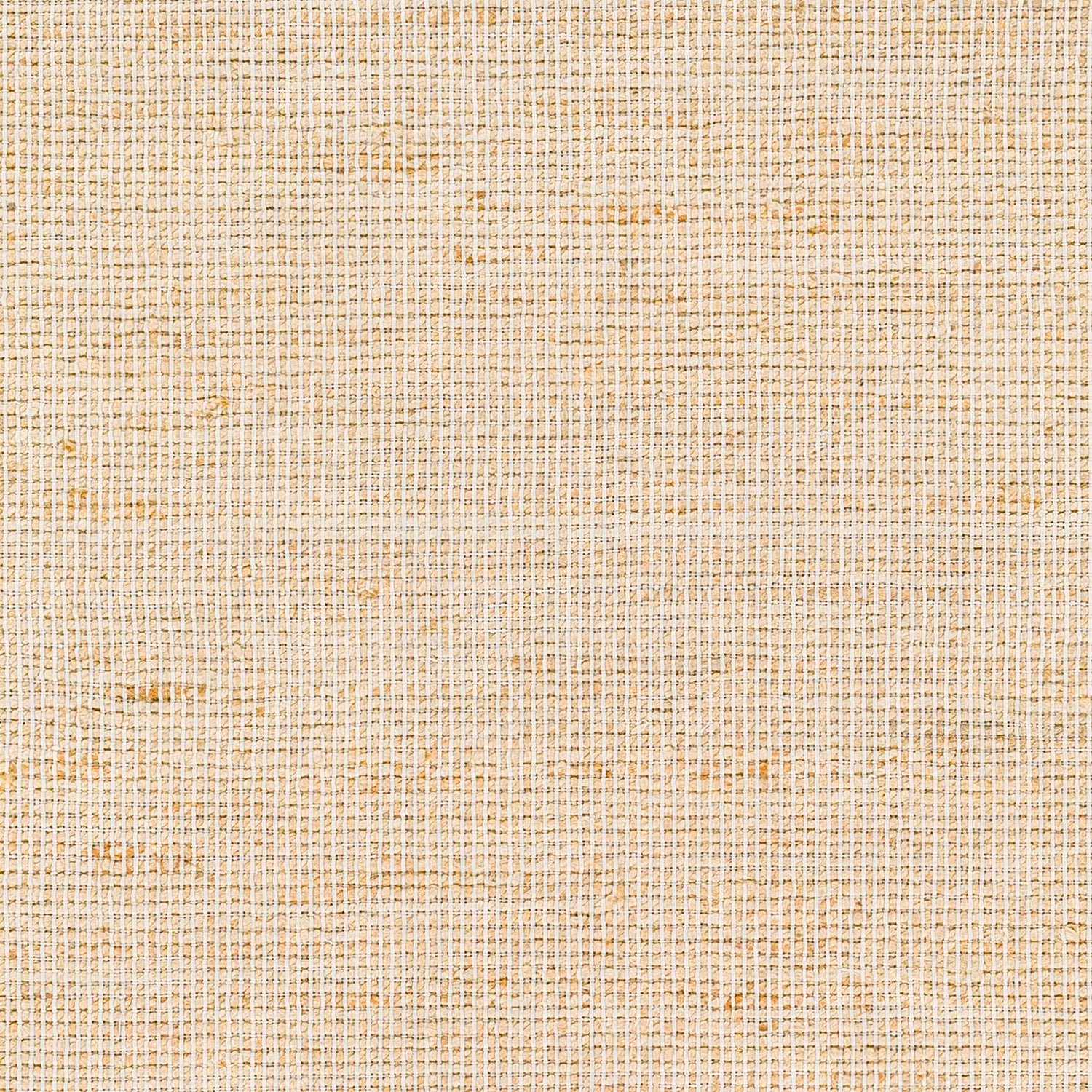 Surya Demi Dem-2304 Brown Rug.