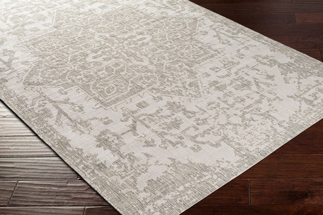 Surya Eagean Eag-2380 Gray, Oatmeal, Light Beige Rugs.