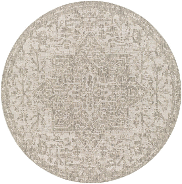 Surya Eagean Eag-2380 Gray, Oatmeal, Light Beige Rugs.